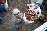 Nicaragua Matagalpa